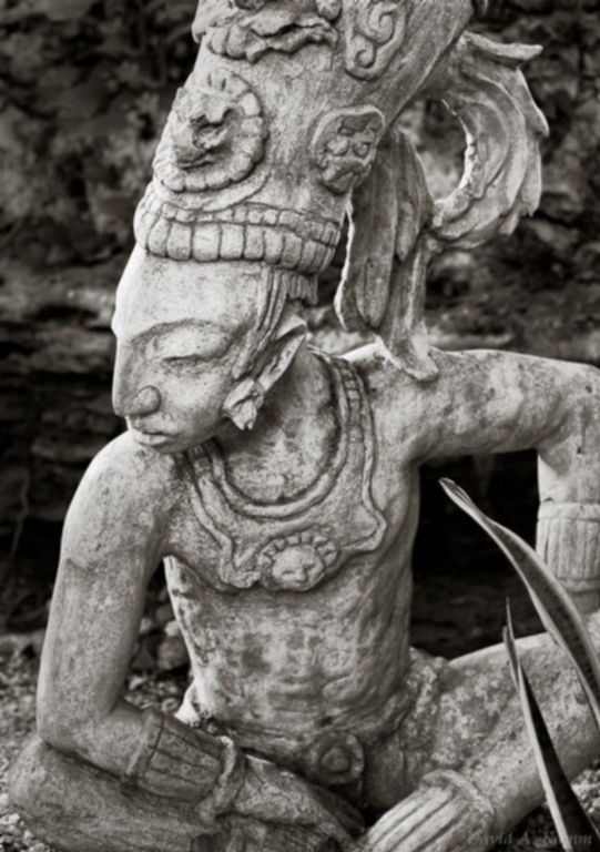 Mayan Warior