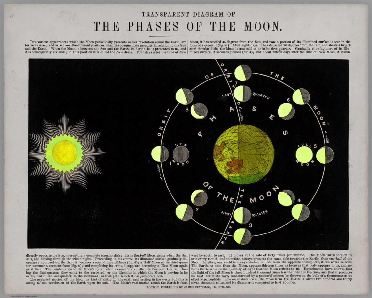 (backlit) Transparent diagram of the phases of the Moon